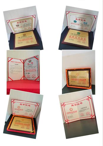 十年來的榮譽(yù)