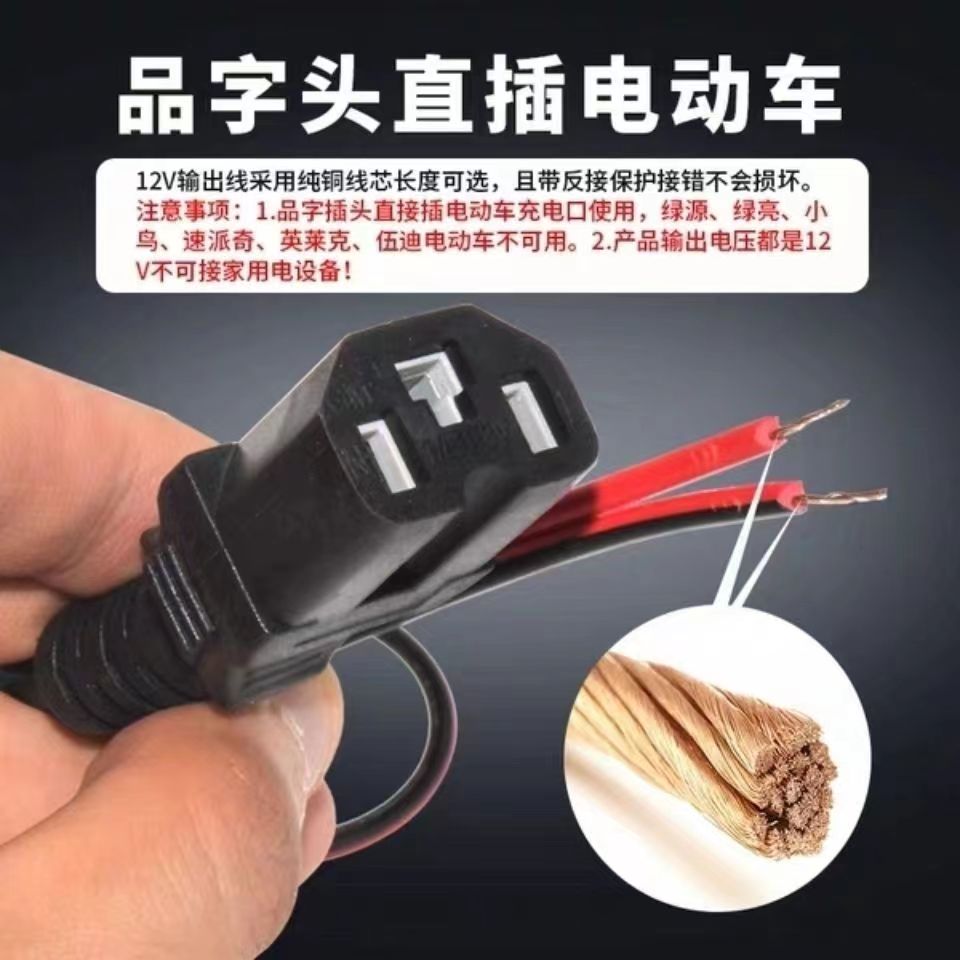 電源轉(zhuǎn)換器-電動(dòng)車電轉(zhuǎn)為板栗機(jī)電源